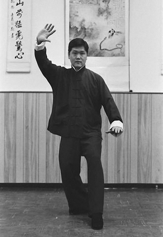 Tung Kai Ying - La grue blanche déploie ses ailes - USA 1976